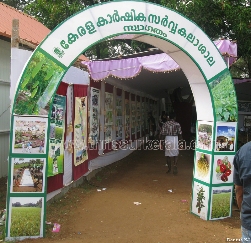thrissur-pooram-exhibition-2011 (110)